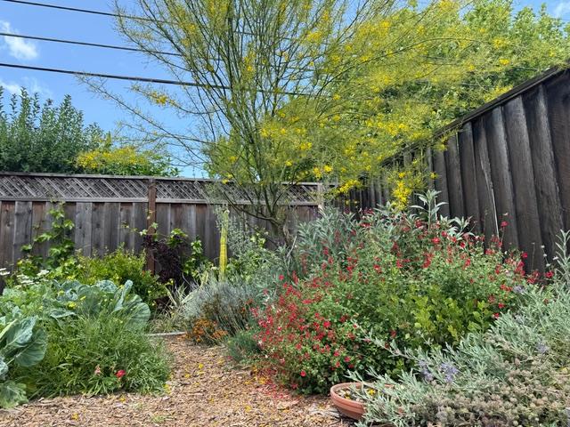 Detail Gallery Image 18 of 36 For 2155 Peachtree Ln, San Jose,  CA 95128 - 2 Beds | 1 Baths
