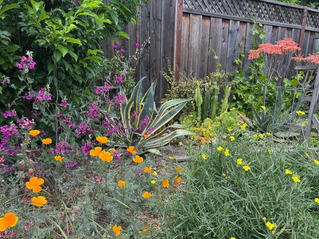 Detail Gallery Image 19 of 36 For 2155 Peachtree Ln, San Jose,  CA 95128 - 2 Beds | 1 Baths