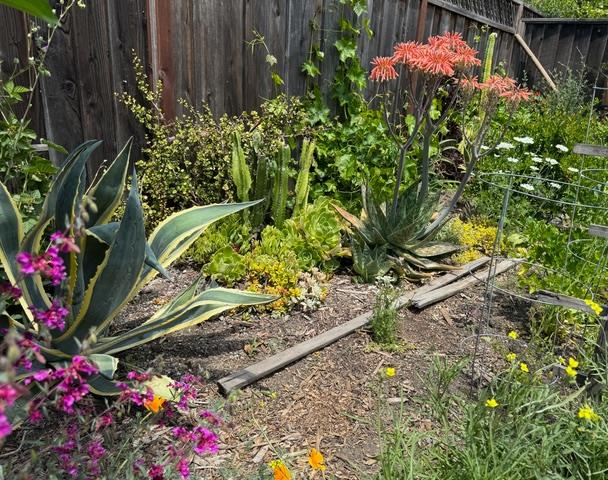 Detail Gallery Image 21 of 36 For 2155 Peachtree Ln, San Jose,  CA 95128 - 2 Beds | 1 Baths