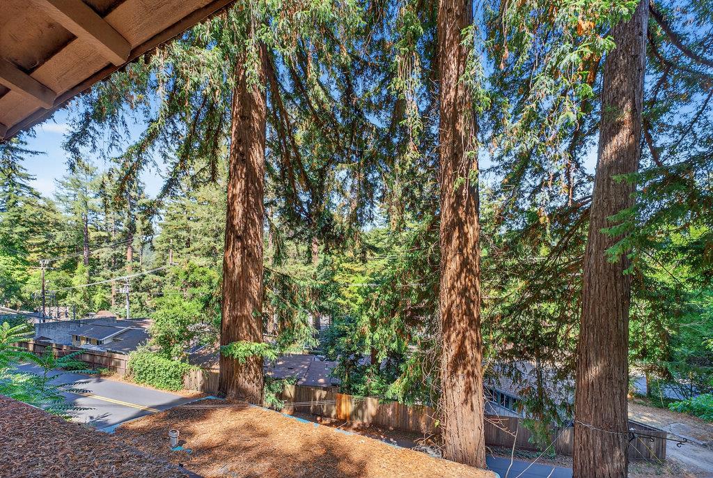 Detail Gallery Image 10 of 20 For 9969 Alba Rd, Ben Lomond,  CA 95005 - – Beds | – Baths