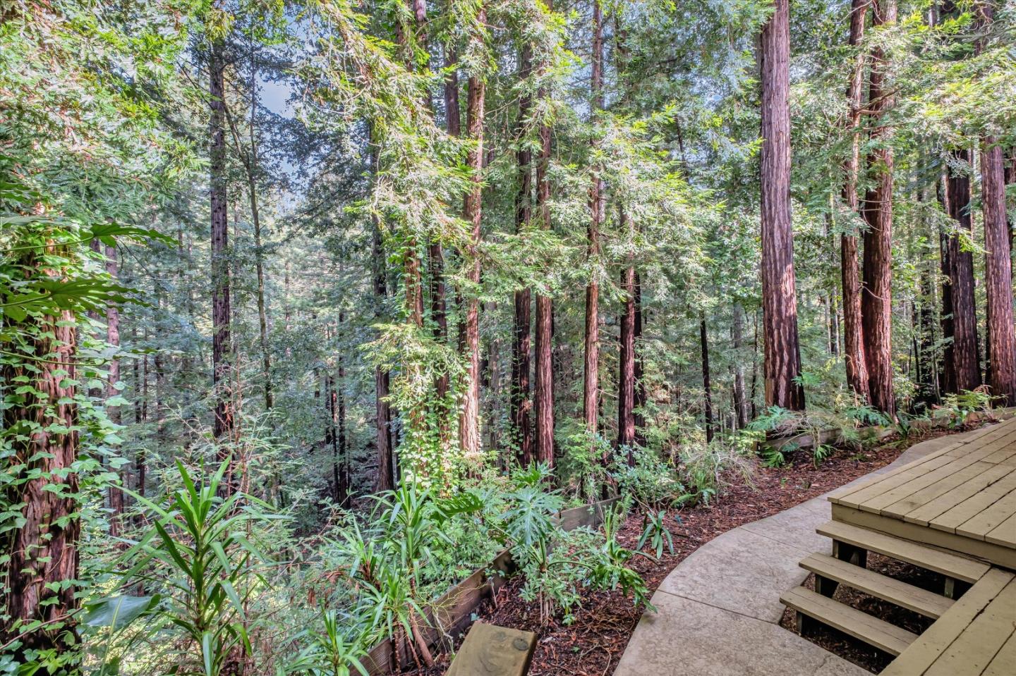Detail Gallery Image 26 of 55 For 7200 Highway 17, Scotts Valley,  CA 95066 - 4 Beds | 3/1 Baths