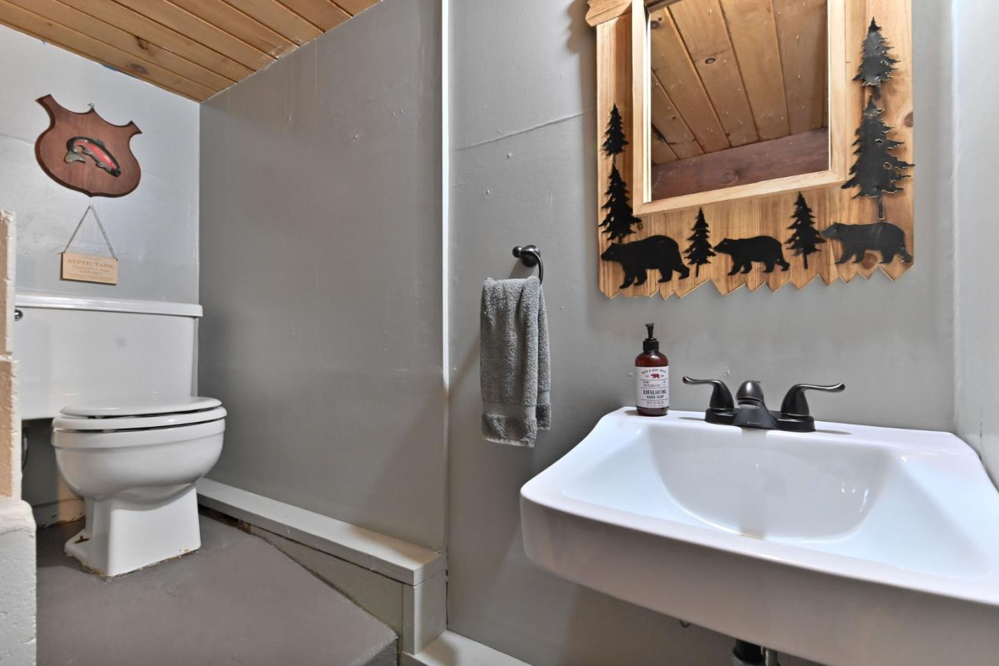 Detail Gallery Image 45 of 62 For 2320 Mustang Rd, Arnold,  CA 95223 - 3 Beds | 2 Baths