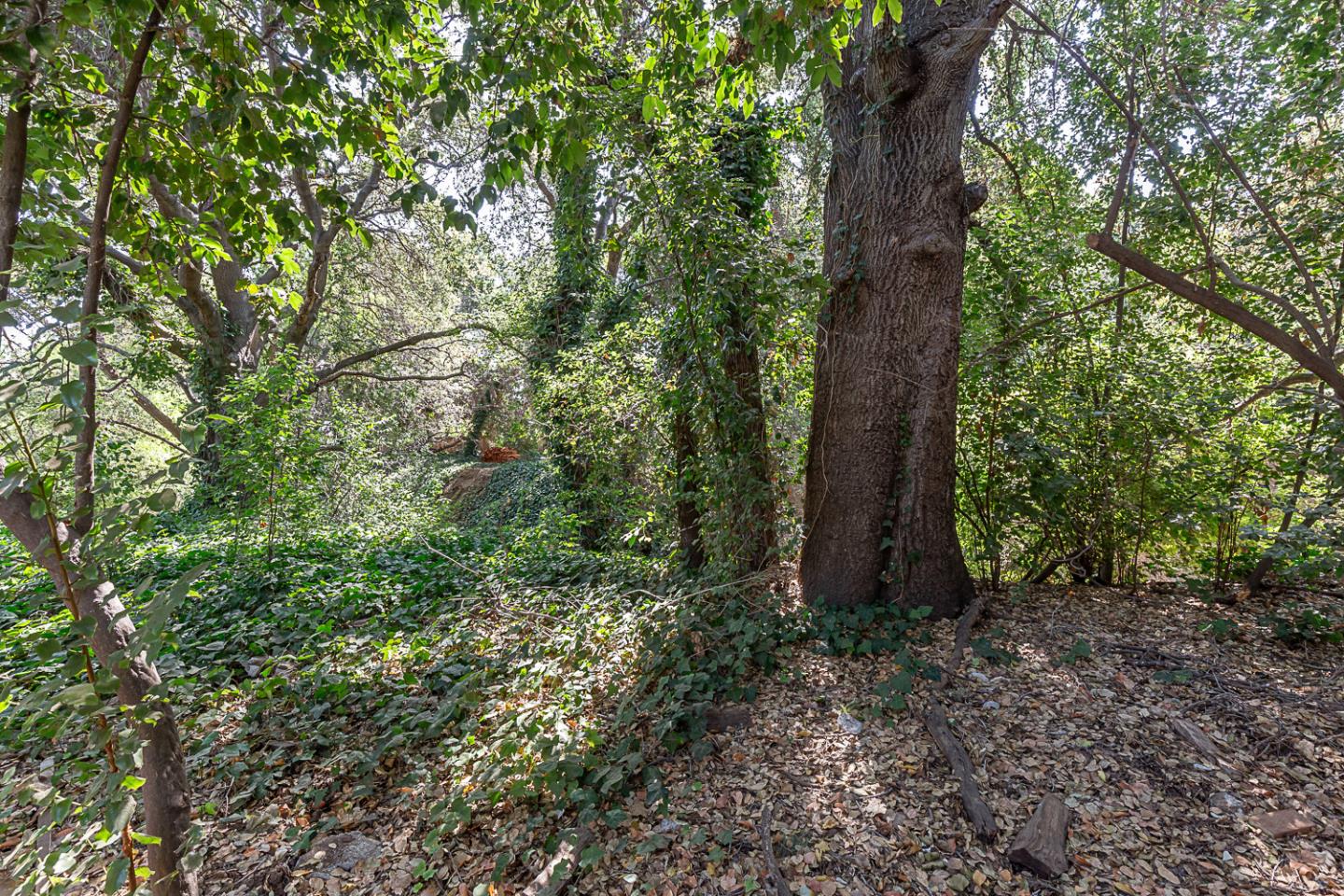 Detail Gallery Image 24 of 26 For 1621 Christina Dr, Los Altos,  CA 94024 - 3 Beds | 2 Baths
