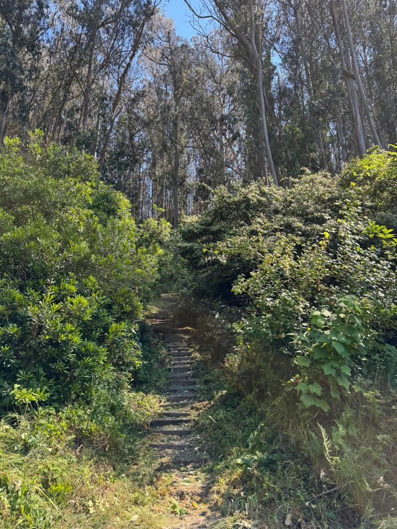 20800 Mount Provo Road, Twain Harte, CA, 95383