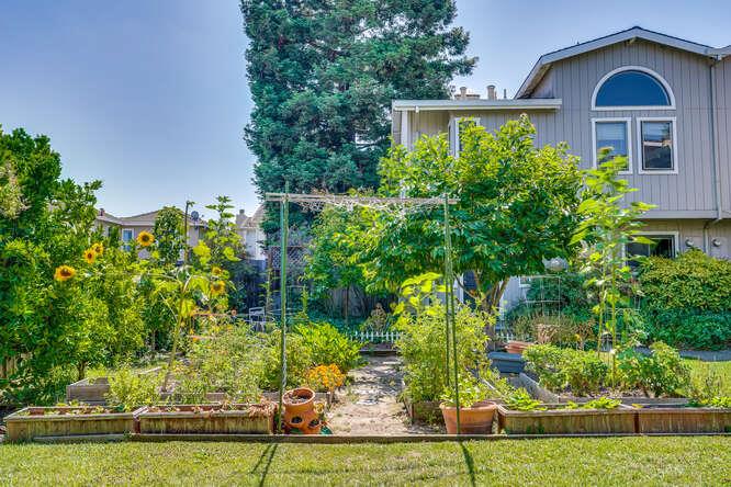 Detail Gallery Image 73 of 75 For 269 Bush St #B,  Mountain View,  CA 94041 - 3 Beds | 2/1 Baths