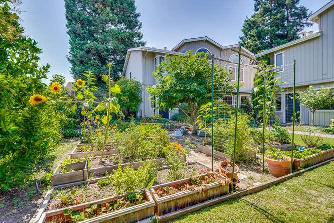 Detail Gallery Image 74 of 75 For 269 Bush St #B,  Mountain View,  CA 94041 - 3 Beds | 2/1 Baths