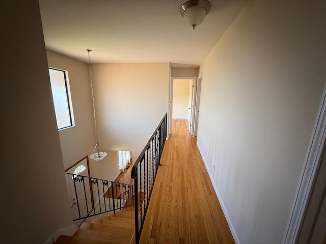 Detail Gallery Image 9 of 17 For 1333 Tarpon St, Foster City,  CA 94404 - 4 Beds | 2/1 Baths