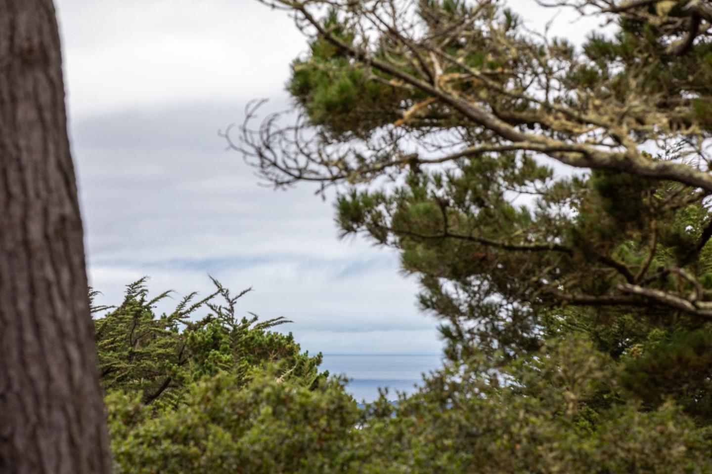 Detail Gallery Image 12 of 37 For 4154 Sunridge Rd, Pebble Beach,  CA 93953 - 3 Beds | 2 Baths