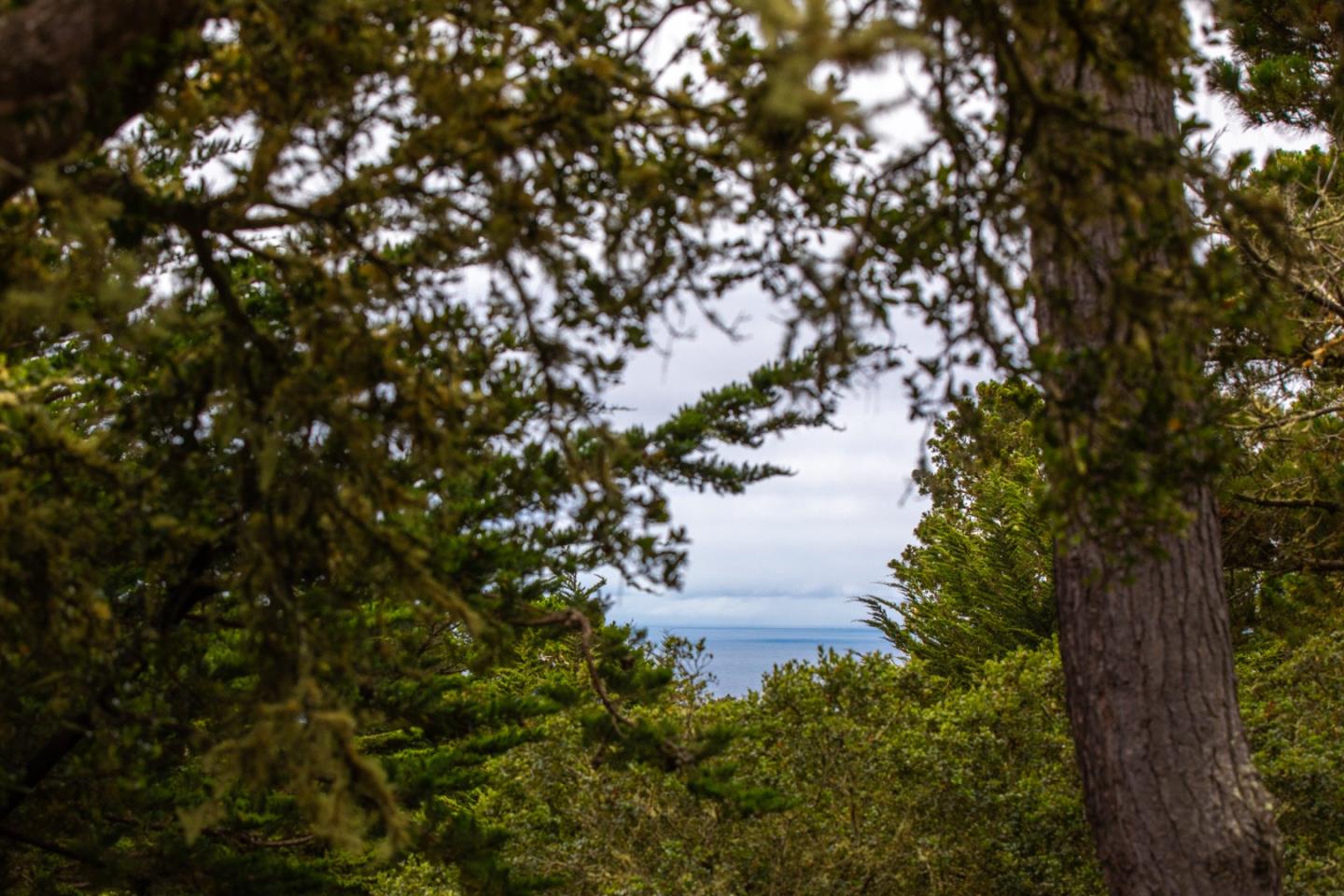 Detail Gallery Image 4 of 37 For 4154 Sunridge Rd, Pebble Beach,  CA 93953 - 3 Beds | 2 Baths