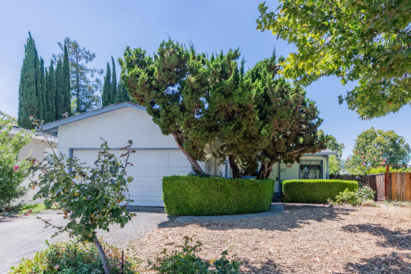 Detail Gallery Image 3 of 12 For 757 Carolina Ave, Sunnyvale,  CA 94085 - 3 Beds | 1 Baths