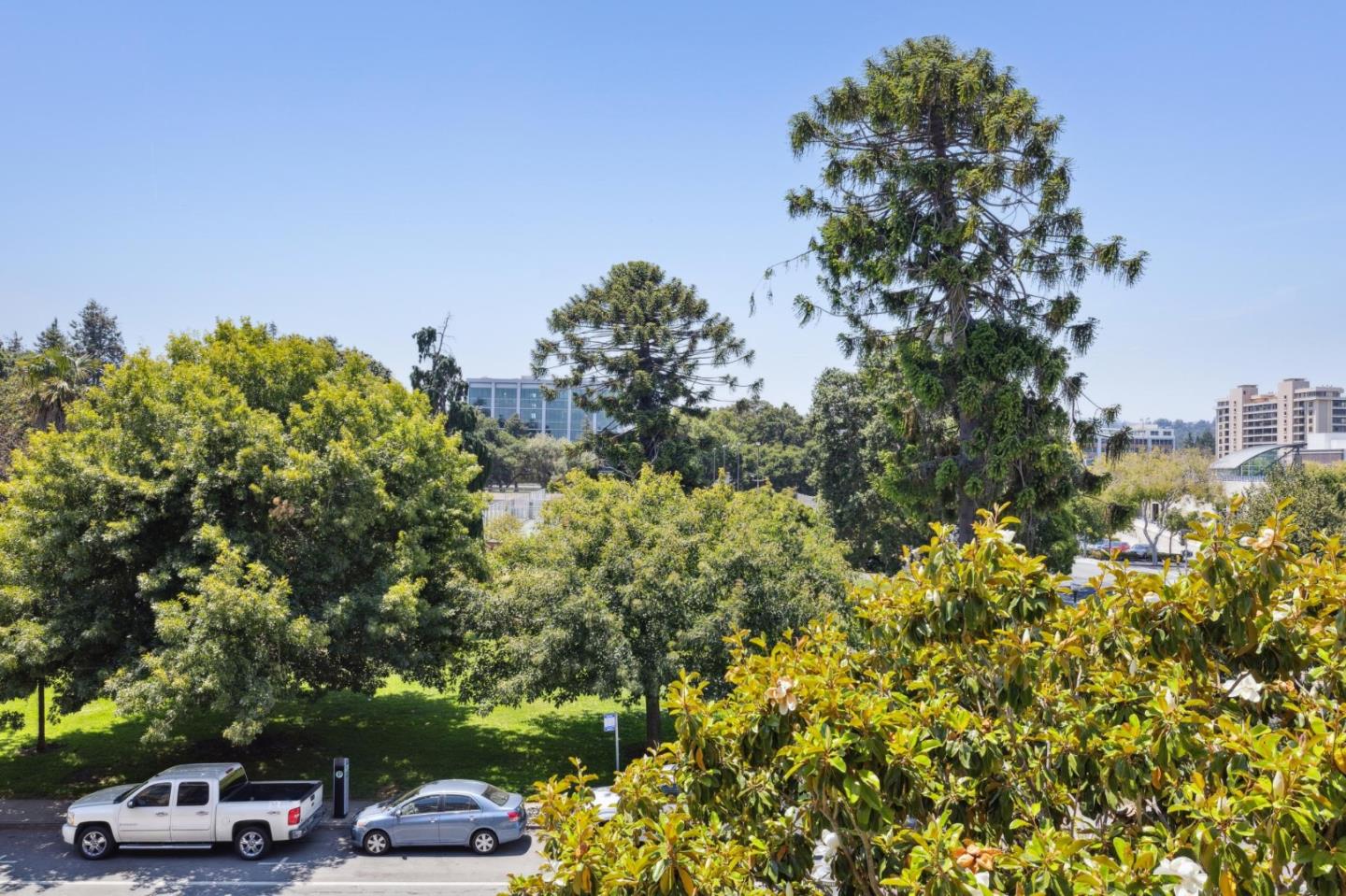 Detail Gallery Image 14 of 40 For 555 Laurel Ave #314,  San Mateo,  CA 94401 - 1 Beds | 2 Baths