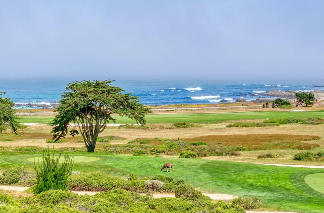 Detail Gallery Image 3 of 31 For 1051 Marcheta Ln, Pebble Beach,  CA 93953 - 3 Beds | 3 Baths