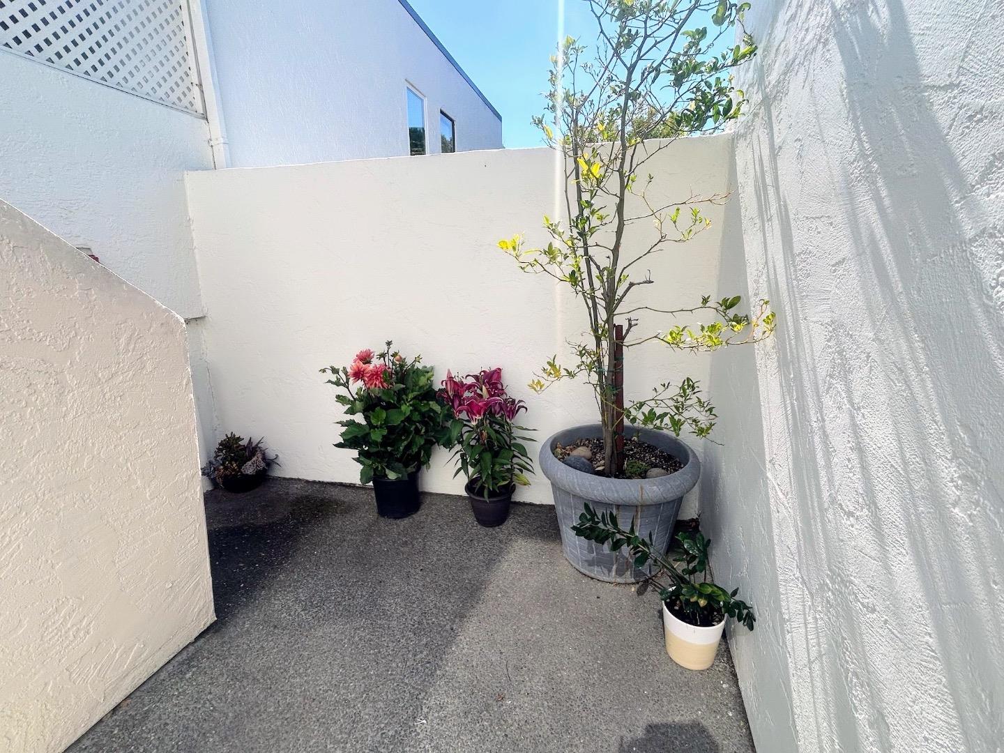 Detail Gallery Image 23 of 32 For 1919 Alameda De Las Pulgas #26,  San Mateo,  CA 94403 - 2 Beds | 2 Baths
