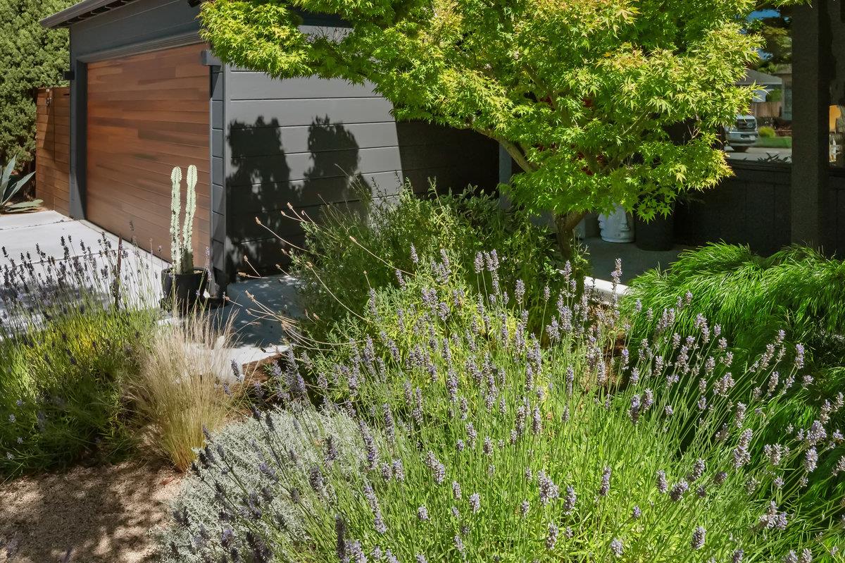 Detail Gallery Image 64 of 66 For 137 30th Ave, San Mateo,  CA 94403 - 3 Beds | 2 Baths