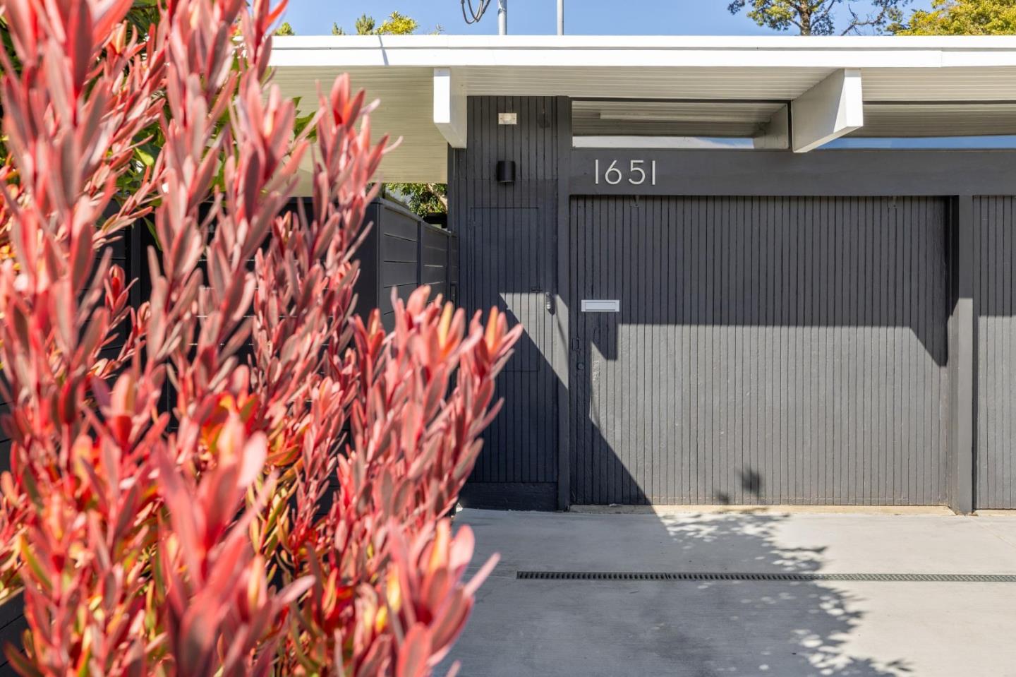 Detail Gallery Image 75 of 121 For 1651 Lexington, San Mateo,  CA 94402 - 3 Beds | 2 Baths