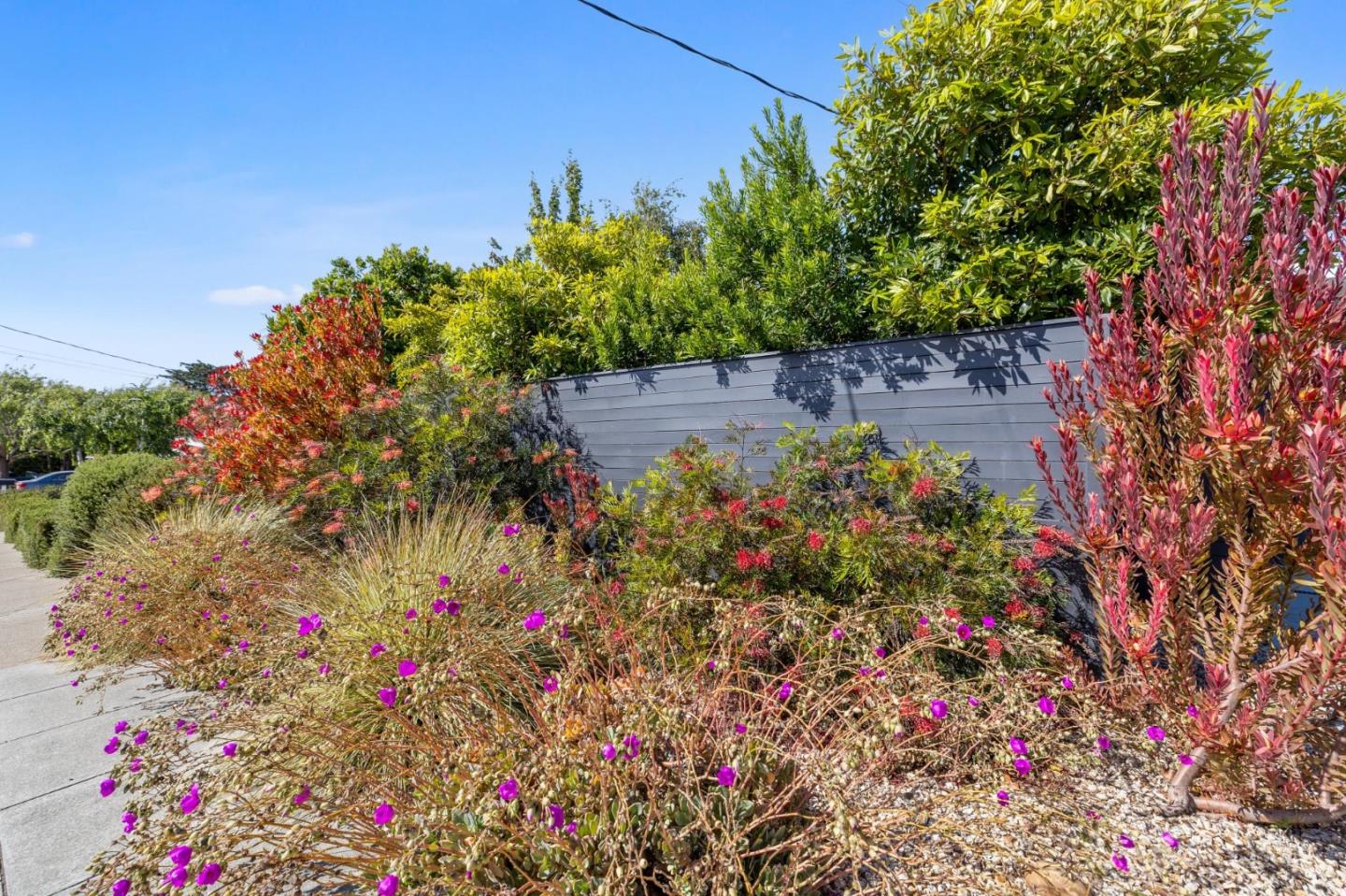 Detail Gallery Image 76 of 121 For 1651 Lexington, San Mateo,  CA 94402 - 3 Beds | 2 Baths