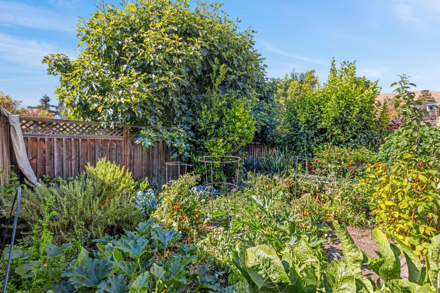 Detail Gallery Image 59 of 99 For 110 Morrison Canyon Rd, Fremont,  CA 94536 - 4 Beds | 3 Baths