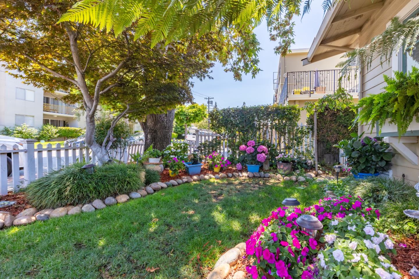 Detail Gallery Image 5 of 47 For 211 Monte Diablo Ave, San Mateo,  CA 94401 - 3 Beds | 2 Baths