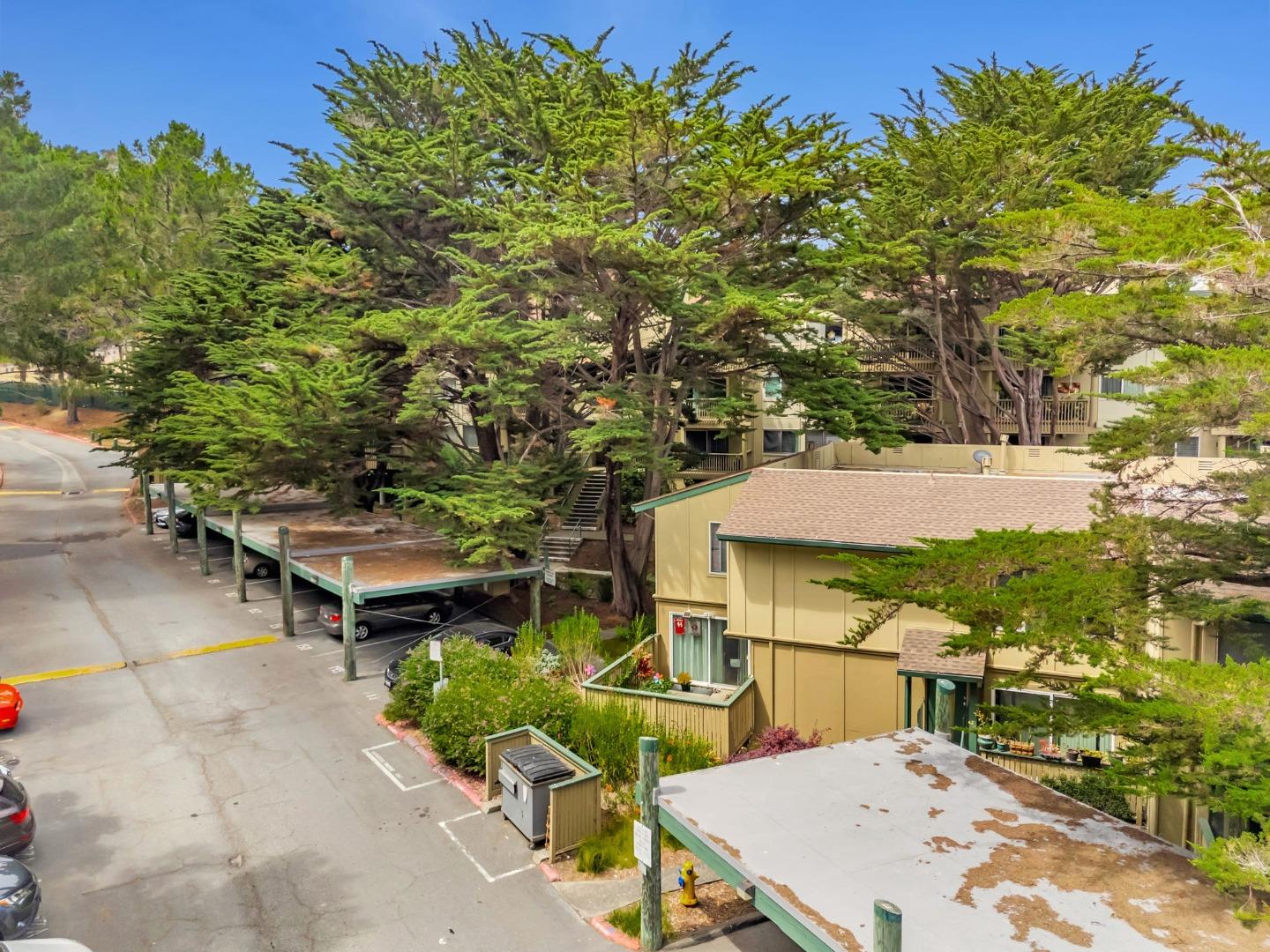 Detail Gallery Image 50 of 74 For 377 Mandarin Dr #207,  Daly City,  CA 94015 - 1 Beds | 1 Baths