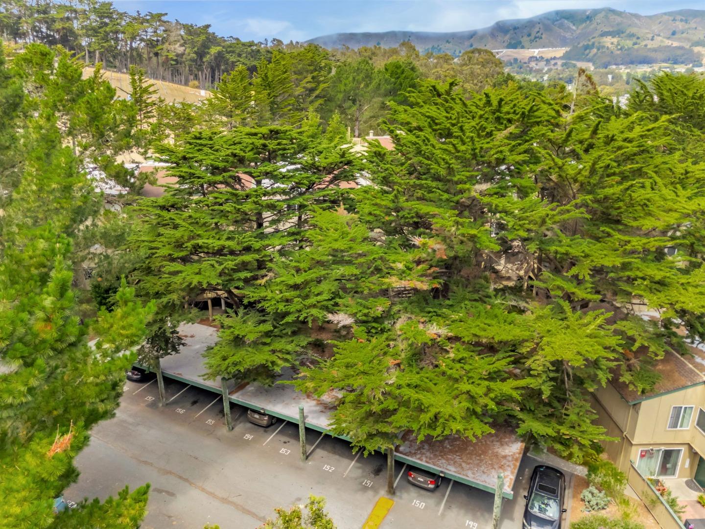 Detail Gallery Image 52 of 74 For 377 Mandarin Dr #207,  Daly City,  CA 94015 - 1 Beds | 1 Baths