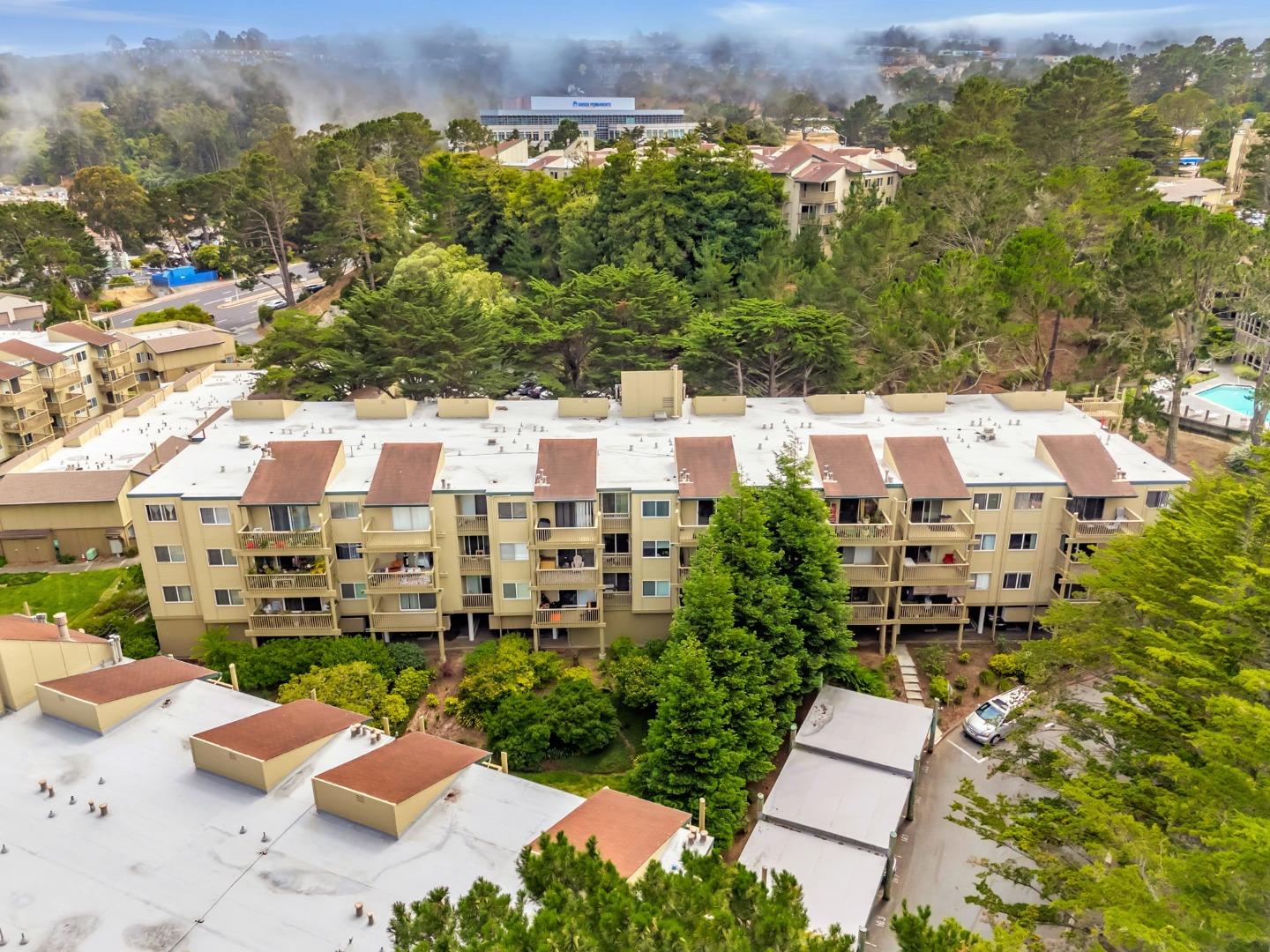Detail Gallery Image 53 of 74 For 377 Mandarin Dr #207,  Daly City,  CA 94015 - 1 Beds | 1 Baths