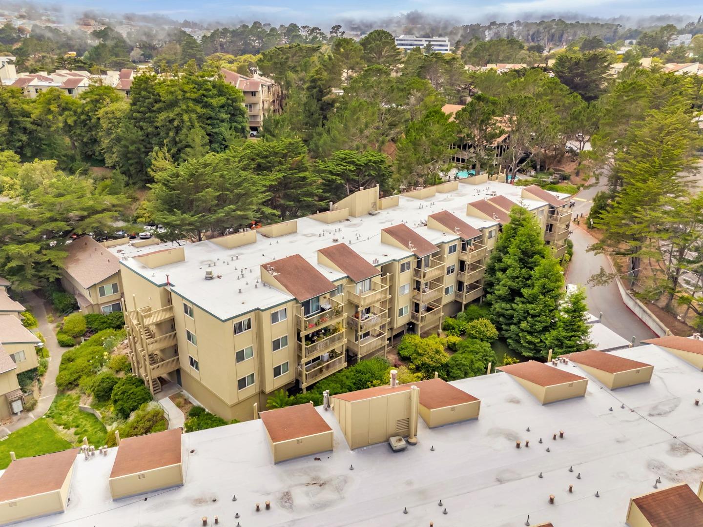 Detail Gallery Image 54 of 74 For 377 Mandarin Dr #207,  Daly City,  CA 94015 - 1 Beds | 1 Baths