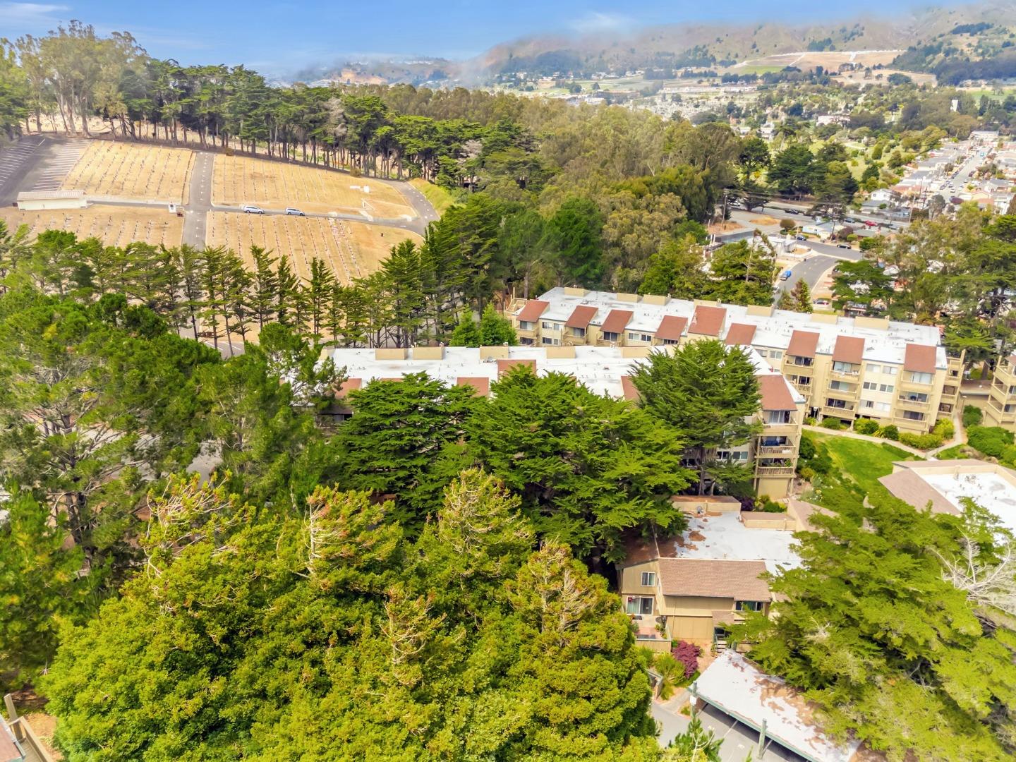Detail Gallery Image 56 of 74 For 377 Mandarin Dr #207,  Daly City,  CA 94015 - 1 Beds | 1 Baths