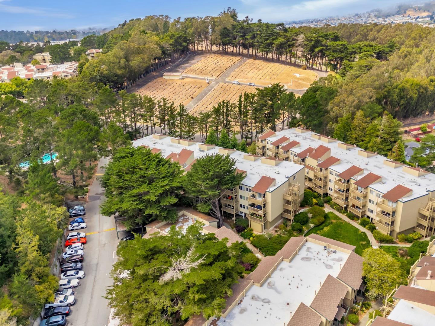 Detail Gallery Image 58 of 74 For 377 Mandarin Dr #207,  Daly City,  CA 94015 - 1 Beds | 1 Baths