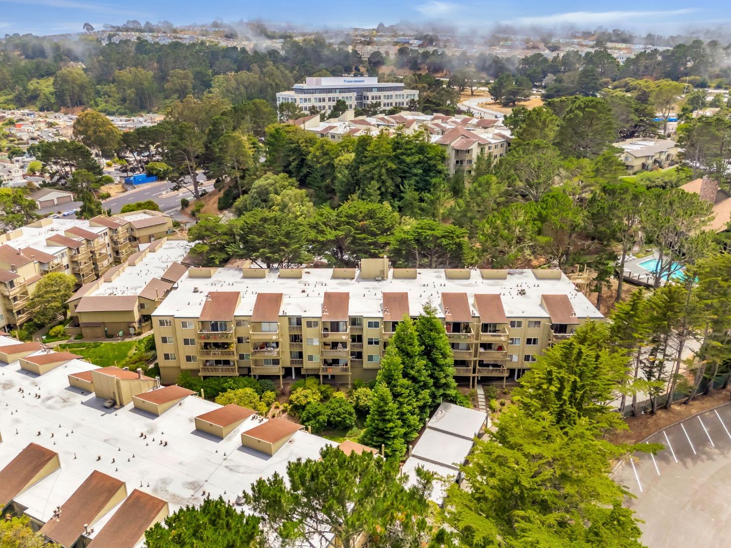 Detail Gallery Image 59 of 74 For 377 Mandarin Dr #207,  Daly City,  CA 94015 - 1 Beds | 1 Baths