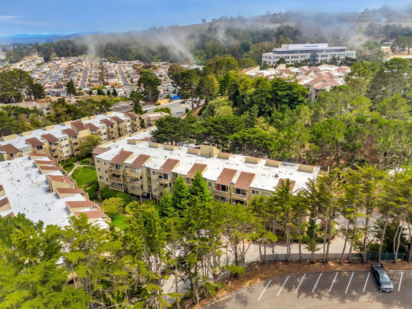 Detail Gallery Image 61 of 74 For 377 Mandarin Dr #207,  Daly City,  CA 94015 - 1 Beds | 1 Baths
