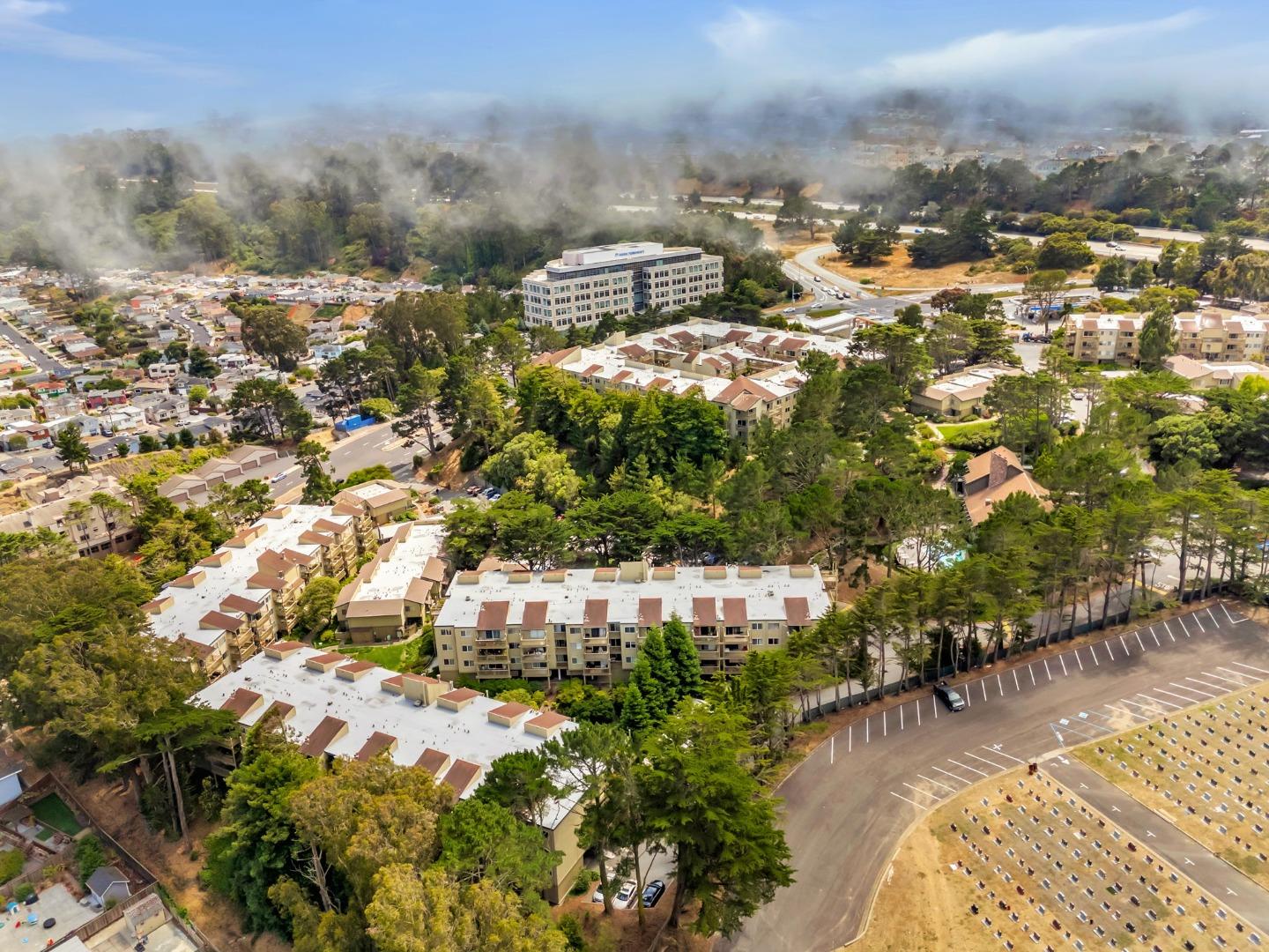 Detail Gallery Image 62 of 74 For 377 Mandarin Dr #207,  Daly City,  CA 94015 - 1 Beds | 1 Baths