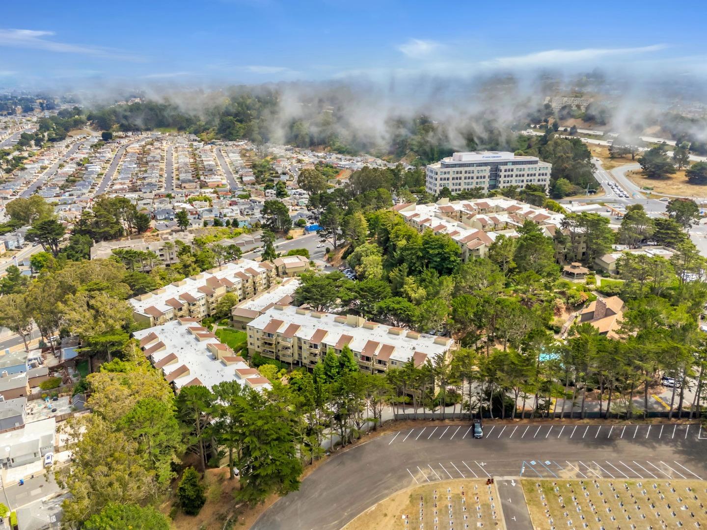 Detail Gallery Image 64 of 74 For 377 Mandarin Dr #207,  Daly City,  CA 94015 - 1 Beds | 1 Baths