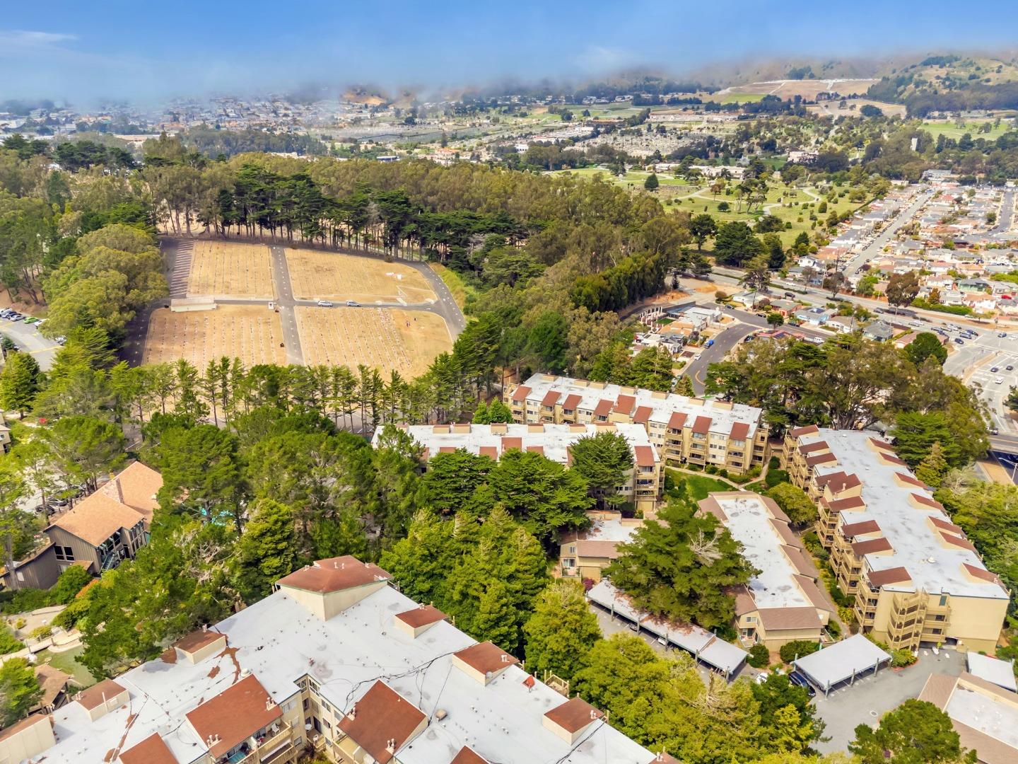 Detail Gallery Image 65 of 74 For 377 Mandarin Dr #207,  Daly City,  CA 94015 - 1 Beds | 1 Baths