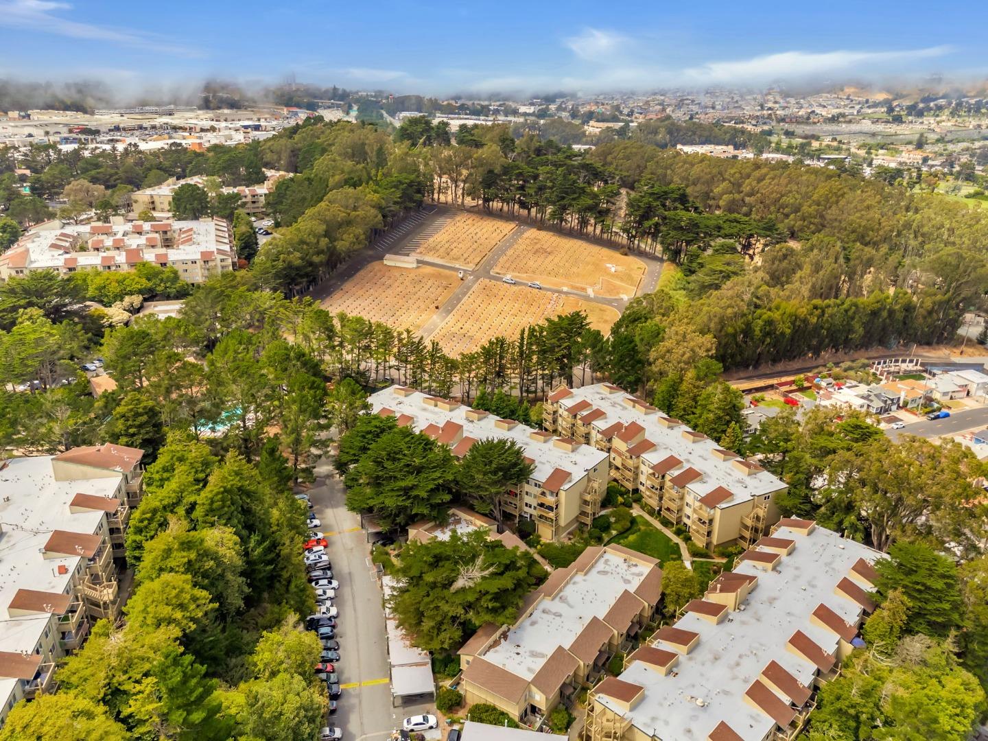 Detail Gallery Image 67 of 74 For 377 Mandarin Dr #207,  Daly City,  CA 94015 - 1 Beds | 1 Baths