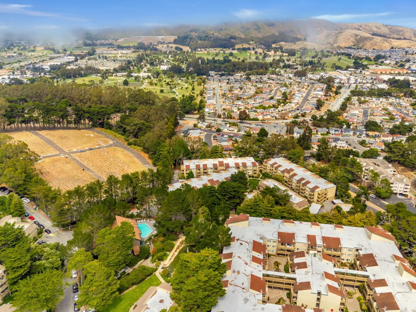 Detail Gallery Image 69 of 74 For 377 Mandarin Dr #207,  Daly City,  CA 94015 - 1 Beds | 1 Baths
