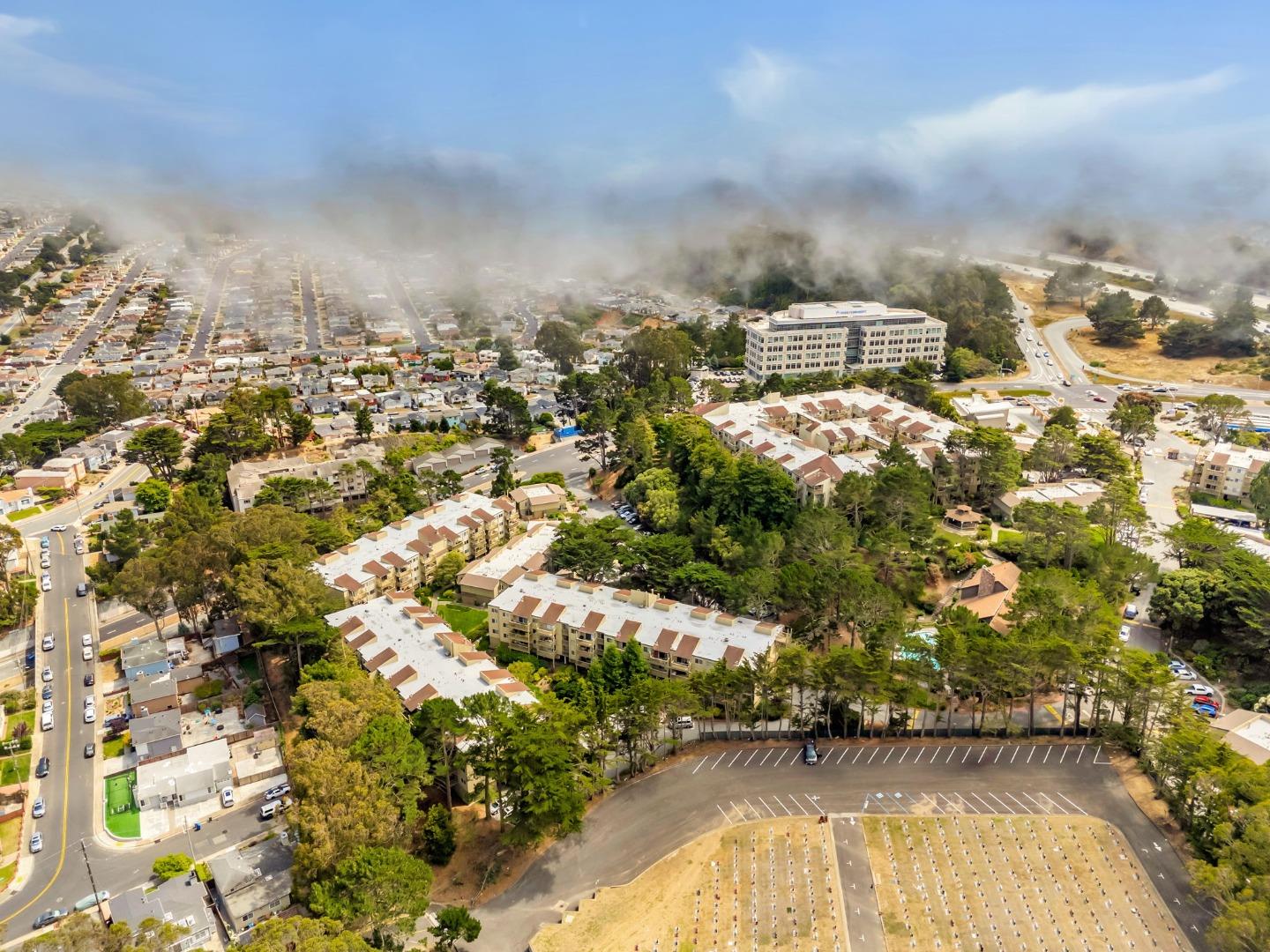 Detail Gallery Image 73 of 74 For 377 Mandarin Dr #207,  Daly City,  CA 94015 - 1 Beds | 1 Baths