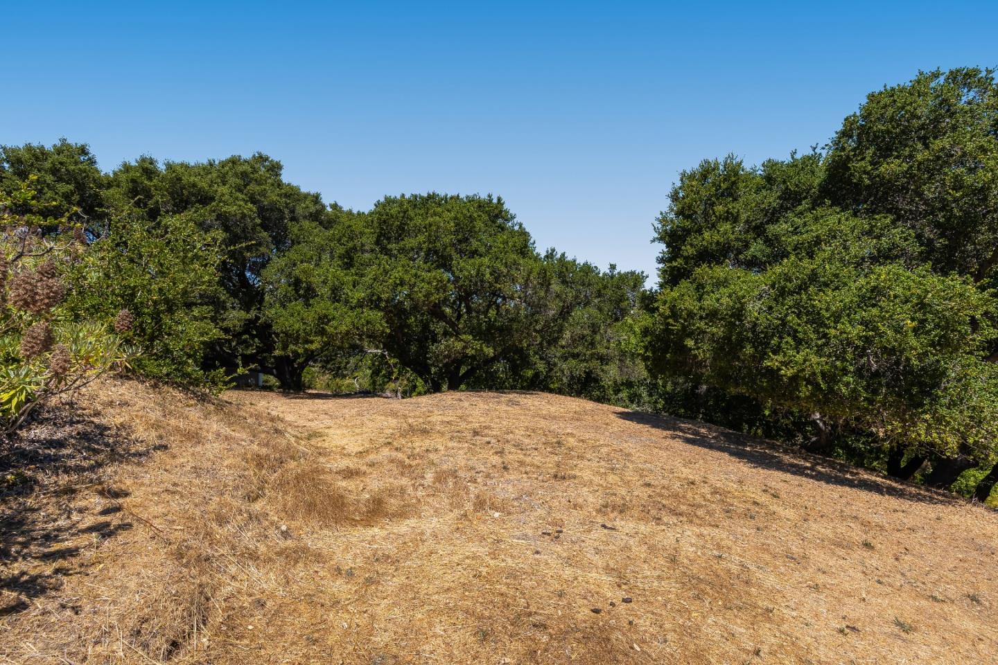Detail Gallery Image 14 of 15 For 0 Eugenia, Hillsborough,  CA 94010 - – Beds | – Baths