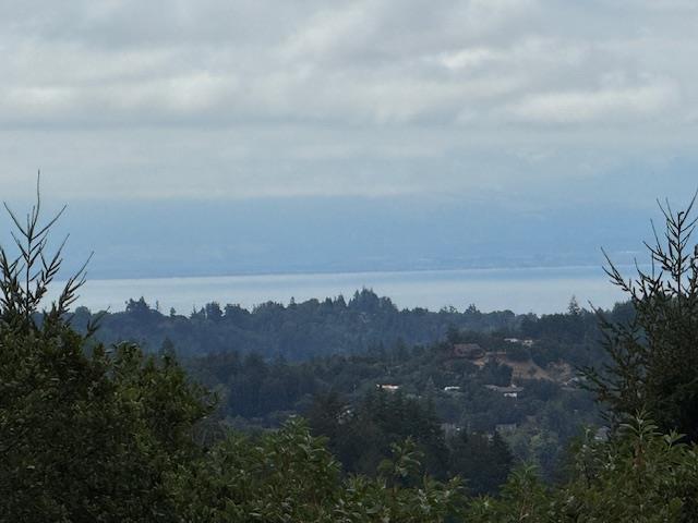 Detail Gallery Image 9 of 36 For 1374 Weston Ridge Rd, Scotts Valley,  CA 95066 - – Beds | – Baths