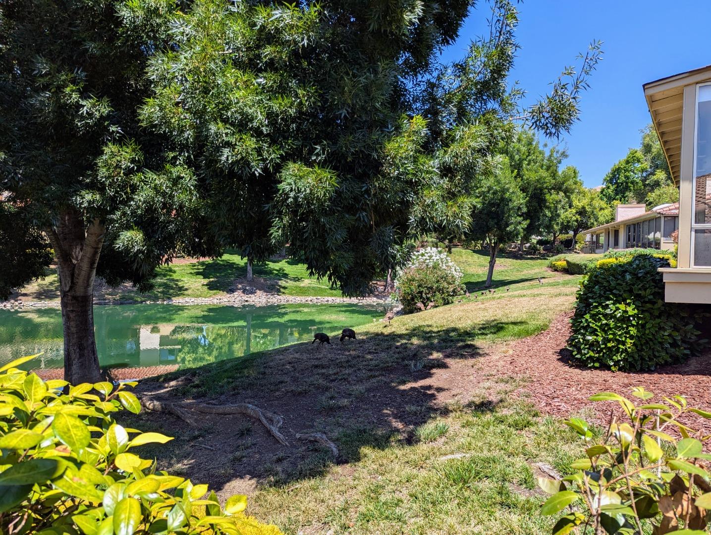 Detail Gallery Image 49 of 67 For 8442 Chenin Blanc Ln, San Jose,  CA 95135 - 2 Beds | 2 Baths