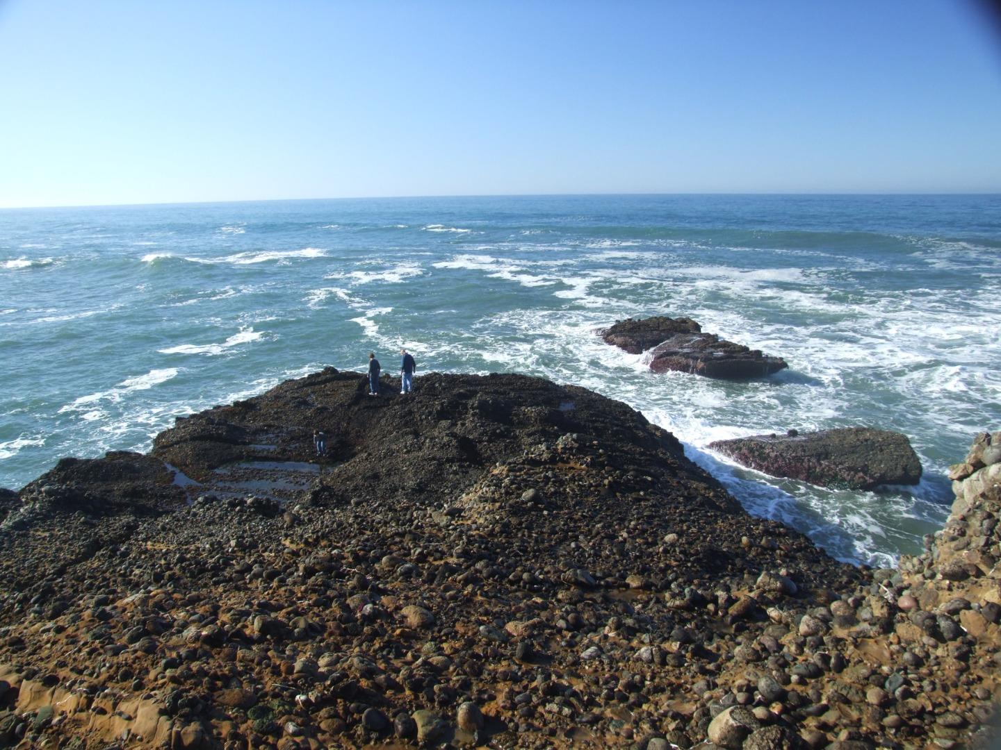 Detail Gallery Image 12 of 42 For 10247 Cabrillo Hwy, Pescadero,  CA 94060 - – Beds | – Baths
