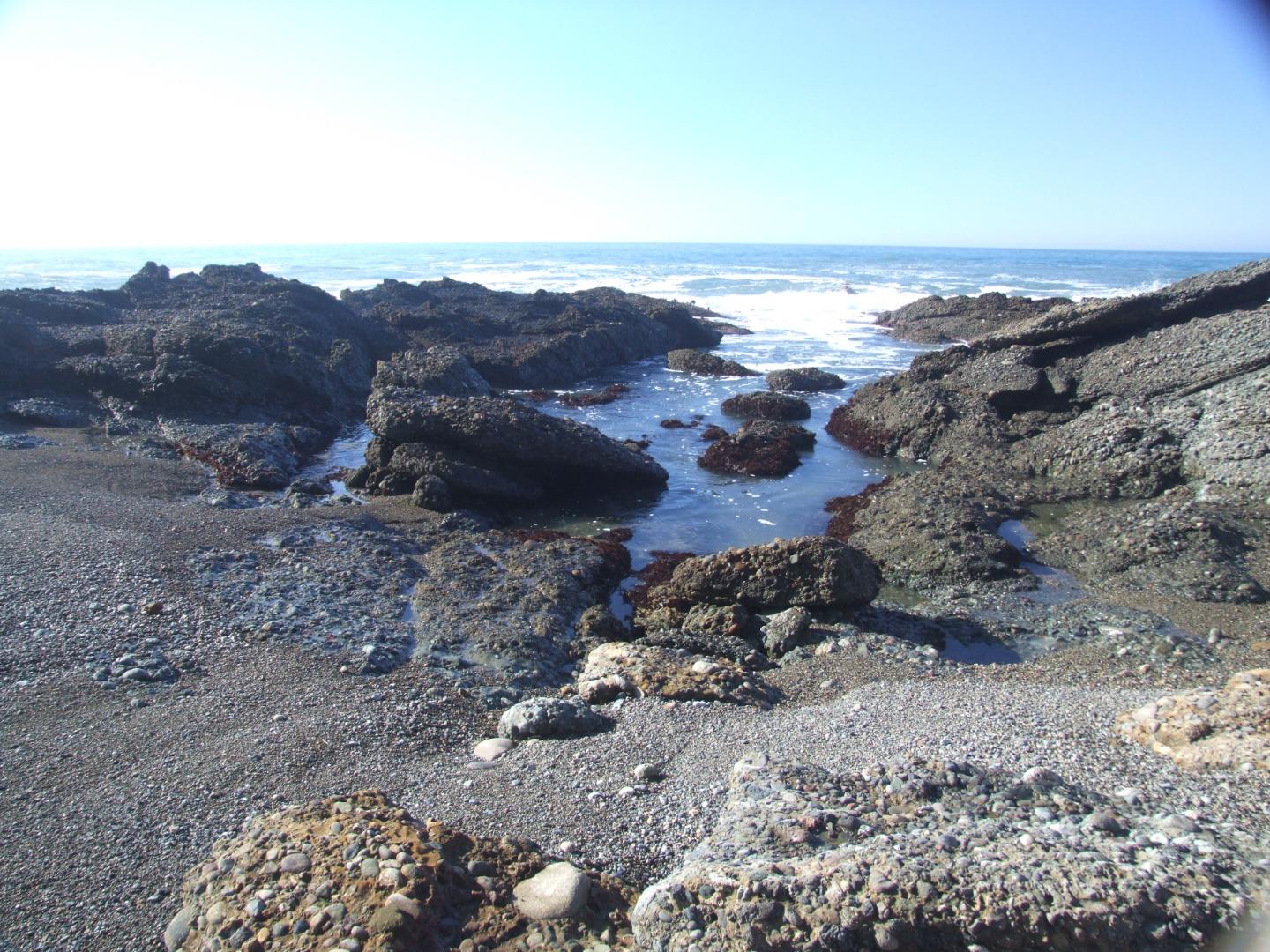 Detail Gallery Image 16 of 42 For 10247 Cabrillo Hwy, Pescadero,  CA 94060 - – Beds | – Baths