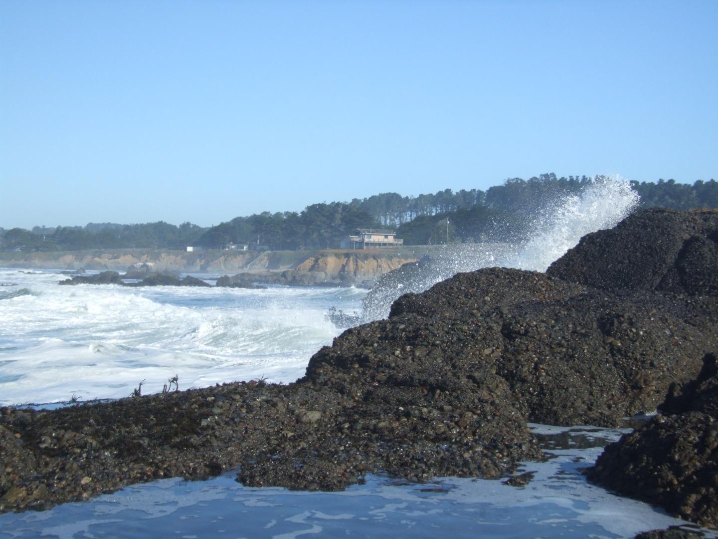 Detail Gallery Image 17 of 42 For 10247 Cabrillo Hwy, Pescadero,  CA 94060 - – Beds | – Baths