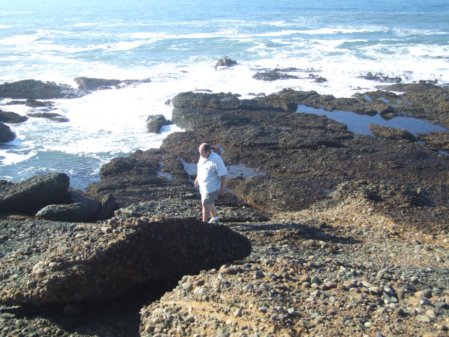 Detail Gallery Image 19 of 42 For 10247 Cabrillo Hwy, Pescadero,  CA 94060 - – Beds | – Baths