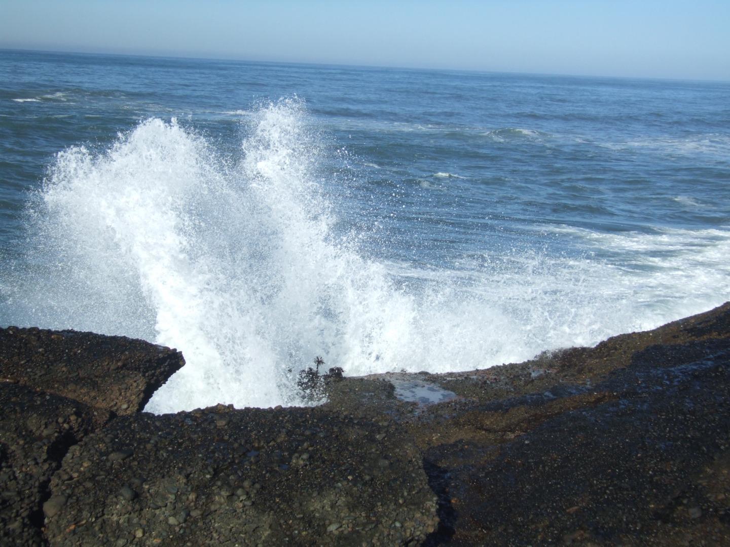 Detail Gallery Image 21 of 42 For 10247 Cabrillo Hwy, Pescadero,  CA 94060 - – Beds | – Baths