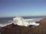 Detail Gallery Image 34 of 42 For 10247 Cabrillo Hwy, Pescadero,  CA 94060 - – Beds | – Baths