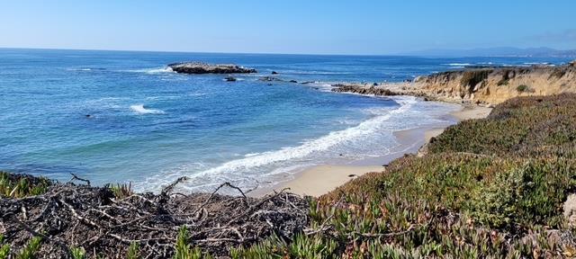 Detail Gallery Image 38 of 42 For 10247 Cabrillo Hwy, Pescadero,  CA 94060 - – Beds | – Baths