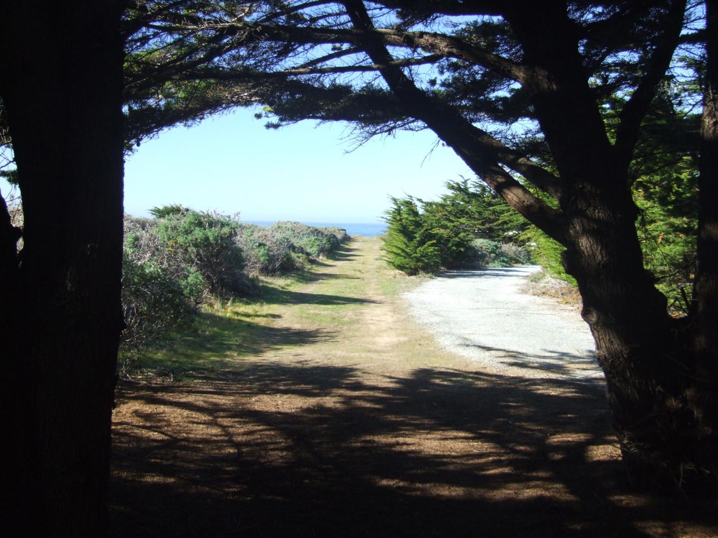 Detail Gallery Image 4 of 42 For 10247 Cabrillo Hwy, Pescadero,  CA 94060 - – Beds | – Baths