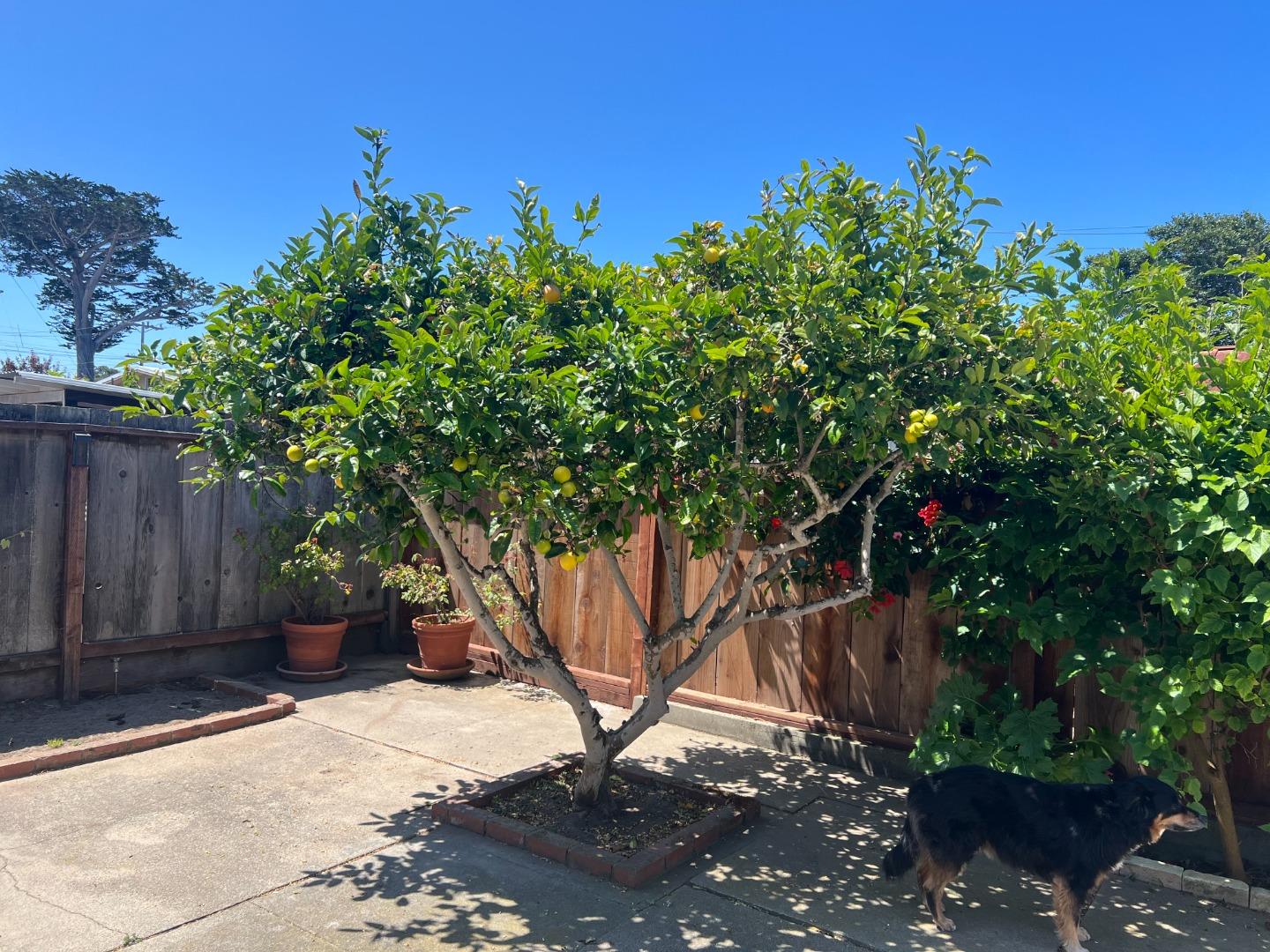 Detail Gallery Image 10 of 16 For 542 English Ave, Monterey,  CA 93940 - 4 Beds | 2 Baths