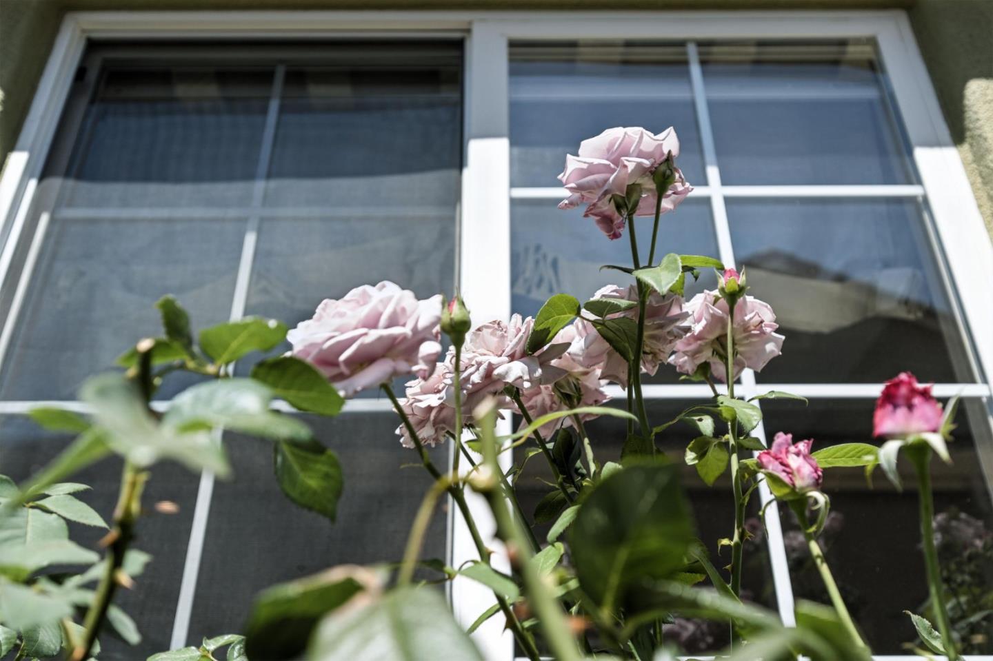 Detail Gallery Image 43 of 44 For 848 Talbot Dr, Morgan Hill,  CA 95037 - 4 Beds | 2/1 Baths