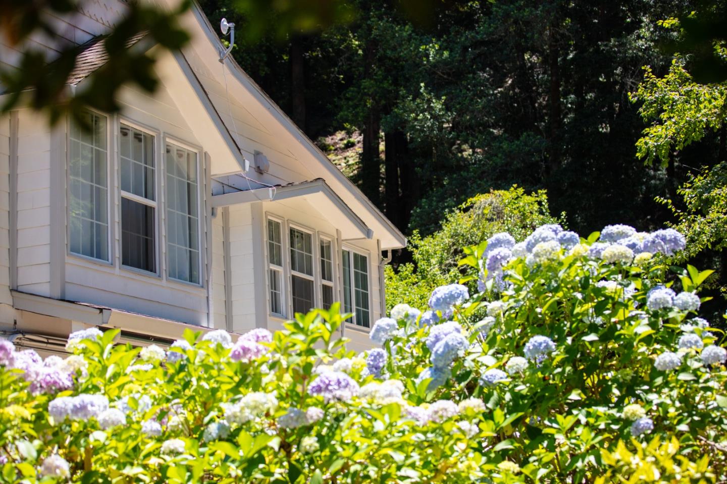 Detail Gallery Image 5 of 120 For 1003 Laurel Glen, Soquel,  CA 95073 - 5 Beds | 2 Baths